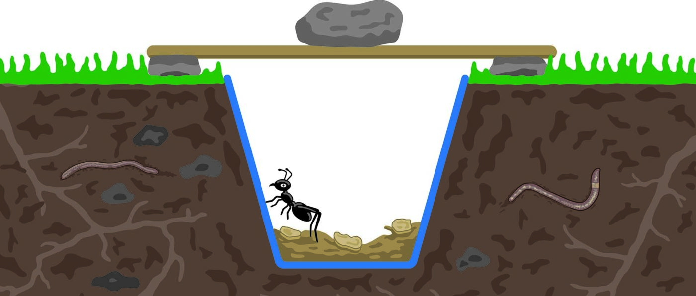 Illustration of an ant in a pitwith a board across the top with a rock on it.